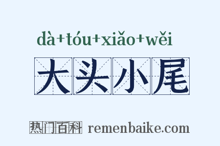 大头小尾是什么意思的图片